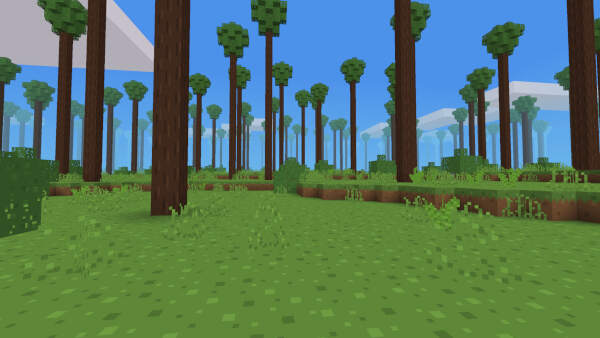 Tall trees with leaves at the very top surrounded by bushes.
